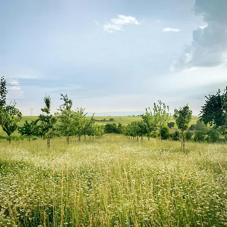 Doppelhaushaelfte, 別荘 *