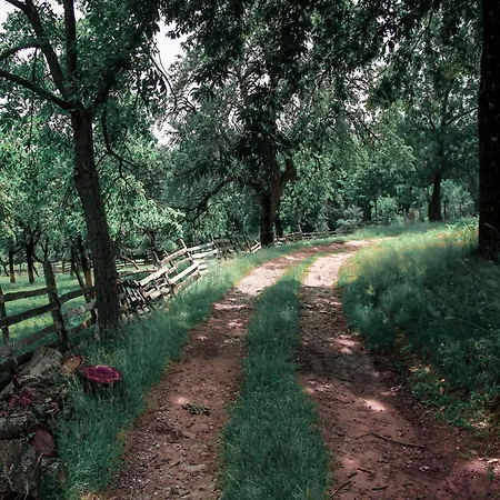 Doppelhaushaelfte, * ツィングシュト